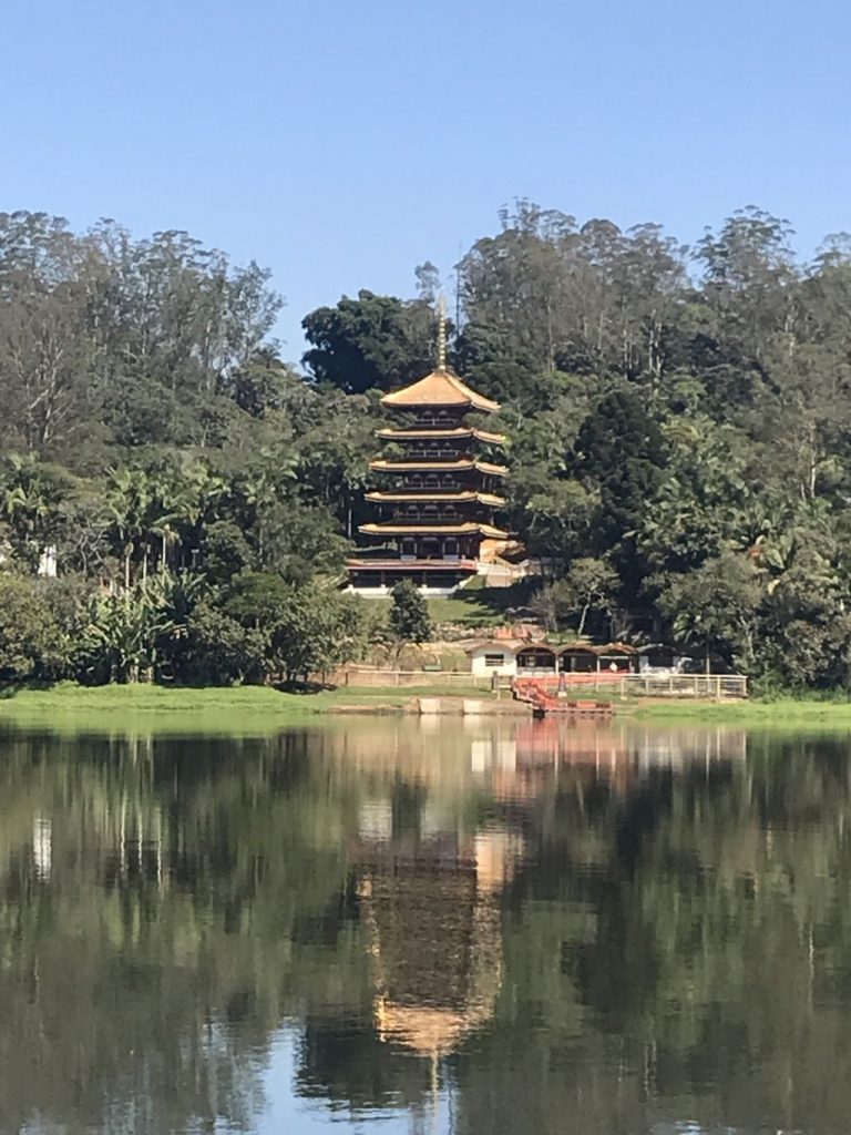 A torre fica localizada na Mata Atlântica | Divulgação 