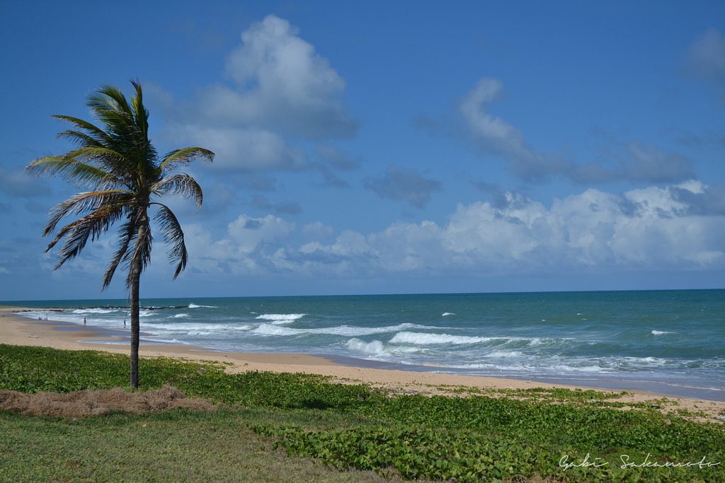 Praia em Natal no Rio Grande do Norte | <a href="https://www.flickr.com/photos/gahbe/12015277976/">Gabi Sakamoto (Gah'Be)</a> on <a href="https://visualhunt.com/photos/beach/">Visual Hunt</a> / <a href="http://creativecommons.org/licenses/by/2.0/"> CC BY</a>