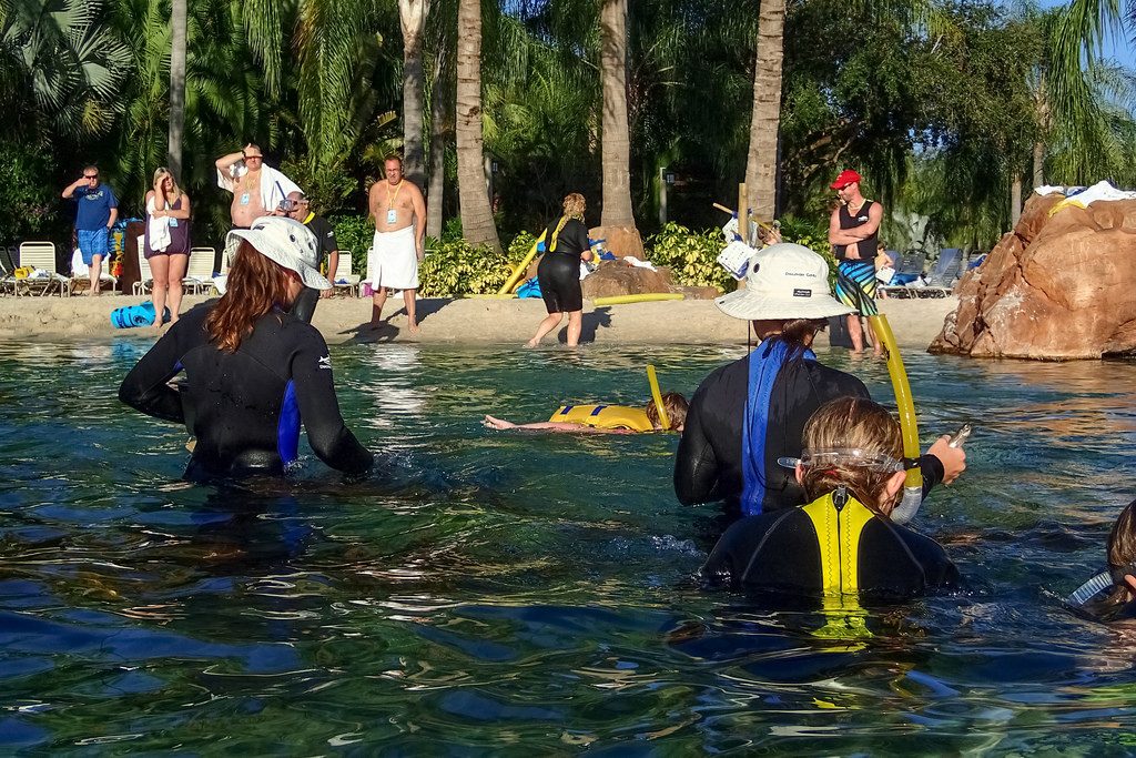 Parque Discovery Cove nos Estados Unidos | <a href="https://www.flickr.com/photos/myfrozenlife/16961324967/">myfrozenlife</a> on <a href="https://visualhunt.com/photos/travel/">Visual hunt</a> / <a href="http://creativecommons.org/licenses/by-nc-nd/2.0/"> CC BY-NC-ND</a>