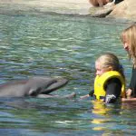 Discovery Cove, em Orlando, é certificado como Centro de Autismo