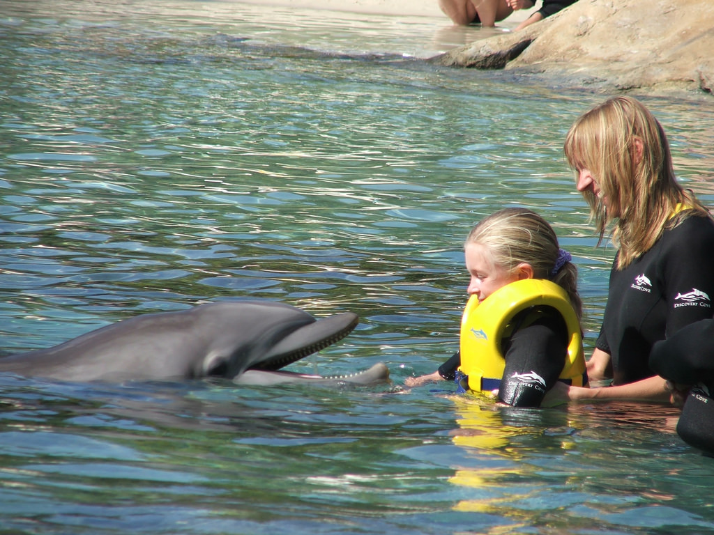 Discovery Cove, em Orlando, é certificado como Centro de Autismo