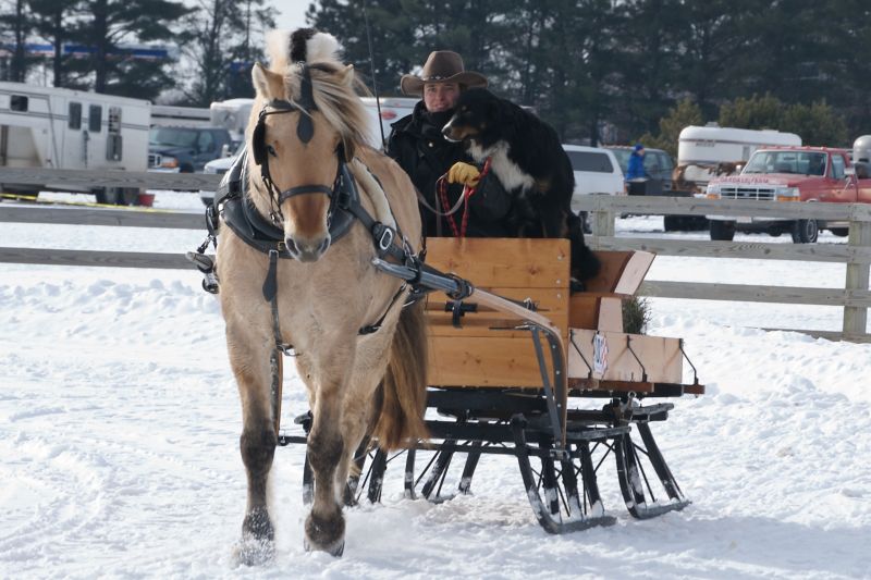 Andar em um trenó puxado por um cavalo é outra atração desta região da França |<a href="https://www.flickr.com/photos/pmarkham/2229547805/">pmarkham</a> on <a href="https://visualhunt.com">VisualHunt.com</a> / <a href="http://creativecommons.org/licenses/by-sa/2.0/"> CC BY-SA</a>