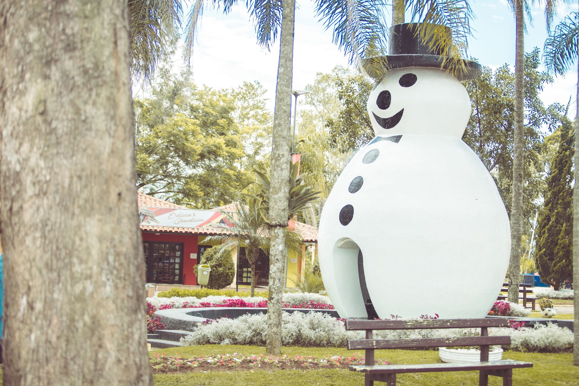 Carnaval em São Roque: tem festa no Ski Mountain Park