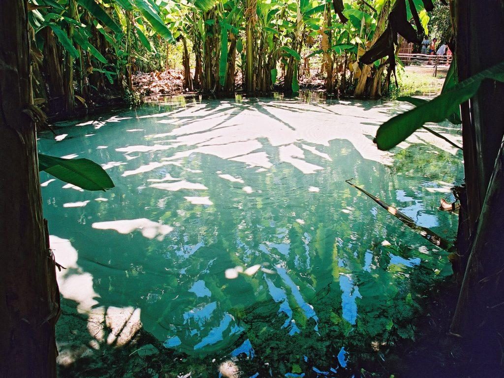 Lagos e rios chamam a atenção dos visitantes no Jalapão | Divulgação 