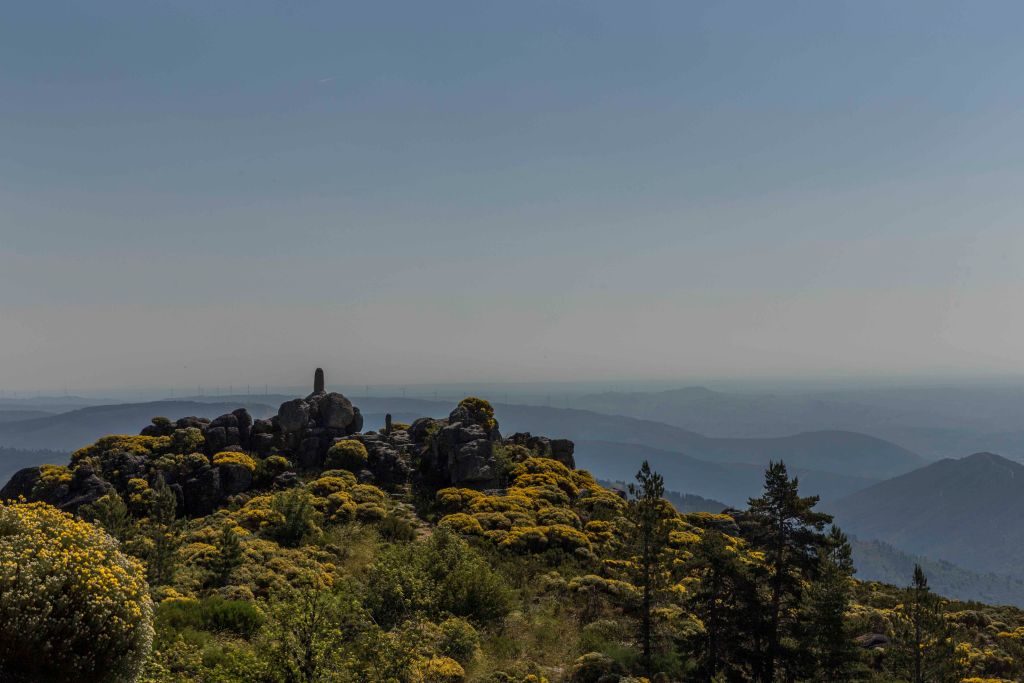 Paisagem local chama atenção de viajantes | Divulgação 