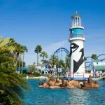 SeaWorld, em Orlando, promove corrida beneficente