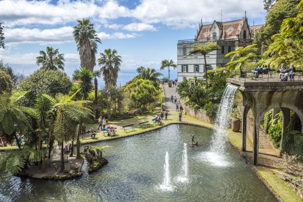 Jardim chama a atenção de turistas na Ilha da Madeira | Divulgação 