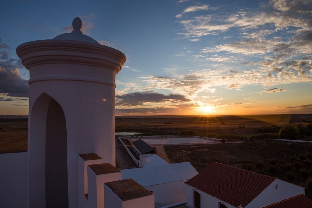 Vista da Torre de Palma | Divulgação 