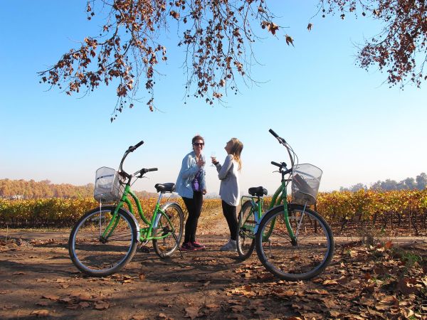 Passeio de bicicleta encanta os turistas | Divulgação 