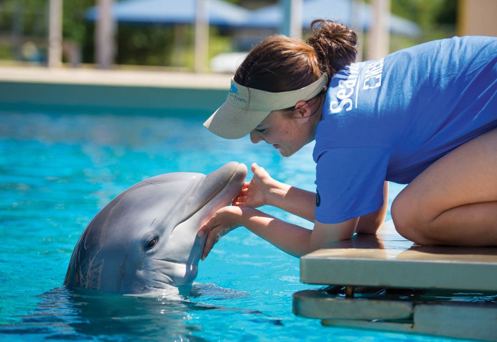 SeaWorld Orlando amplia visitas aos bastidores