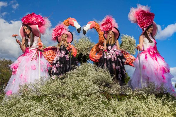 Festa da Flor, na Ilha da Madeira | Divulgação 