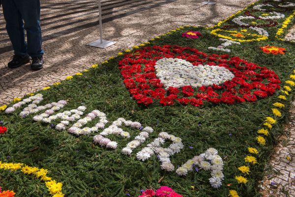 Tapetes florais durante a Festa da Flor, na Ilha da Madeira | Divulgação 