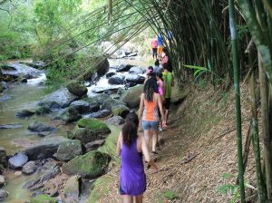 Socorro (SP): trilha da cachoeira