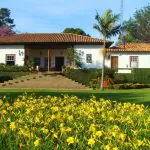 Fazenda no interior de São Paulo realiza exposição sobre café