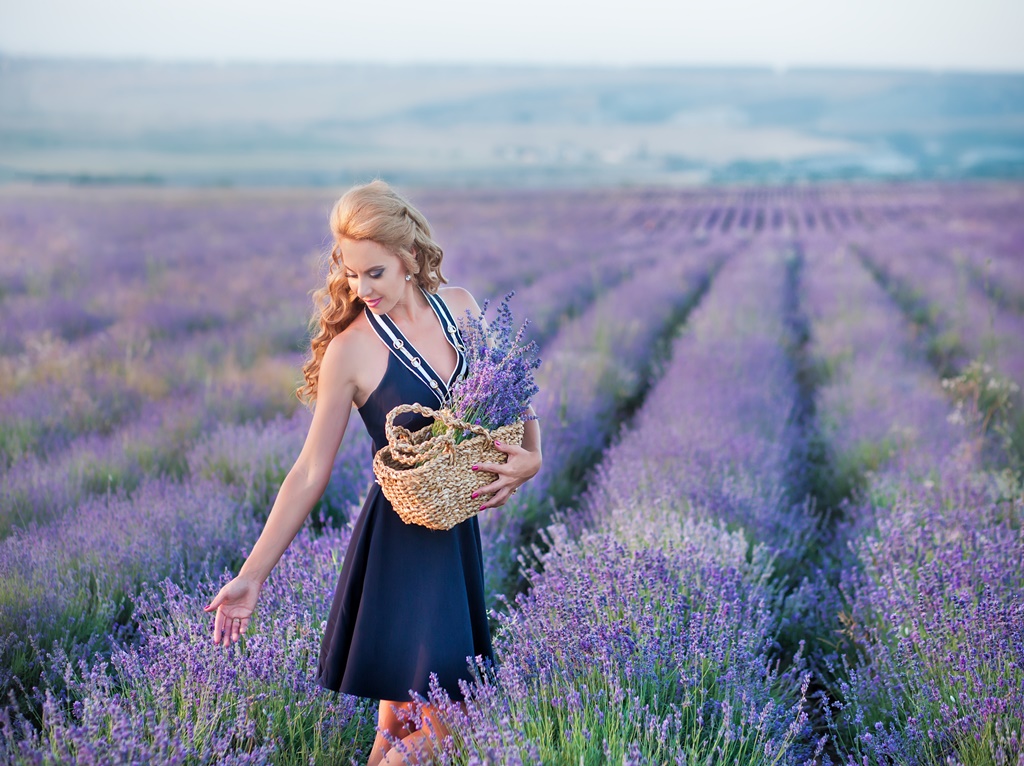 Primavera na Europa – 5 locais para ver campos de flores