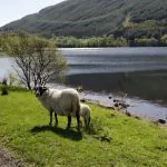 O que fazer em Loch Lomond, na Escócia – Atrações e dicas