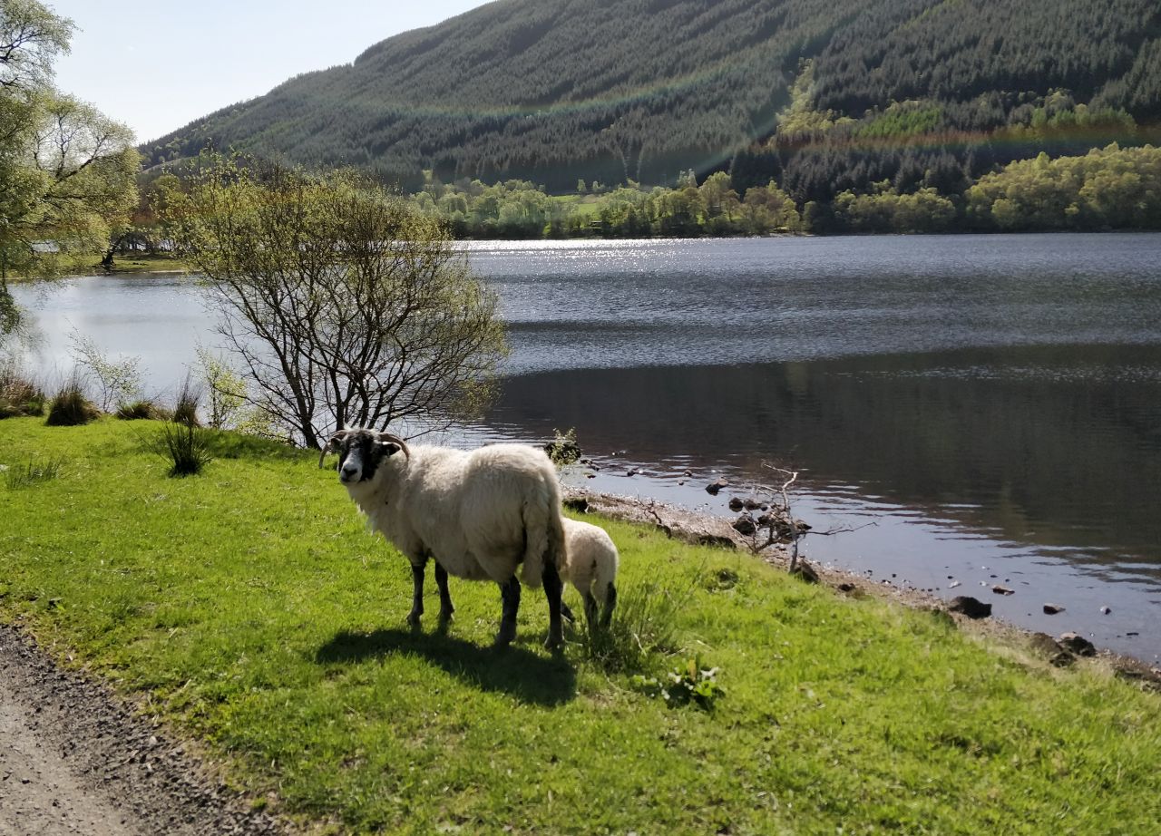 O que fazer em Loch Lomond, na Escócia – Atrações e dicas