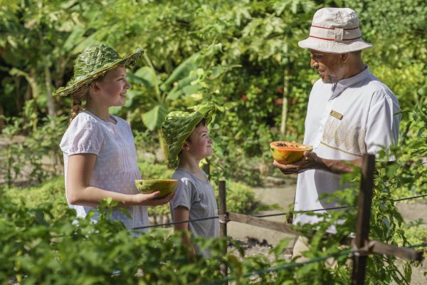 Crianças em atividade de coleta de frutas | Divulgação 