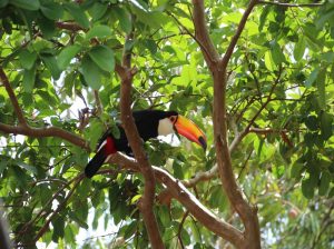 pacotes para o hóspede curtir a natureza