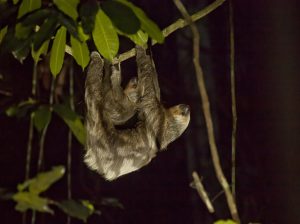 pacotes para o hóspede curtir a natureza