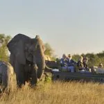 Hotel safári na África do Sul é boa opção para turistas brasileiros