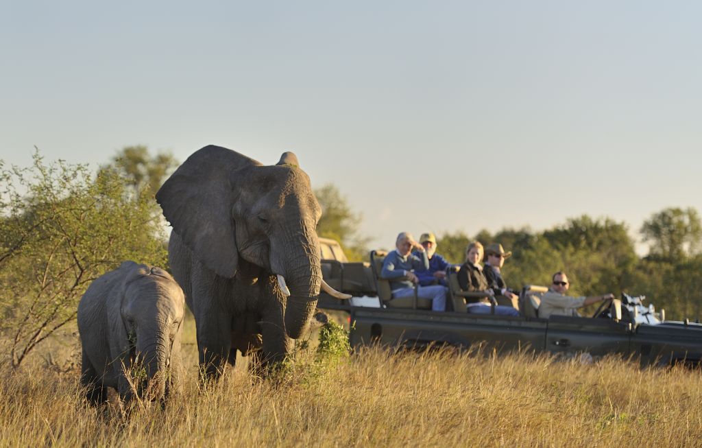 Hotel safári na África do Sul é boa opção para turistas brasileiros