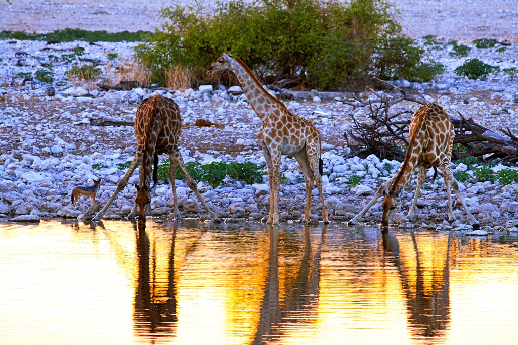 15 destinos incríveis no planeta que promovem o turismo sustentável