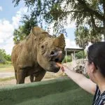 Busch Gardens anuncia novos tours pelos bastidores