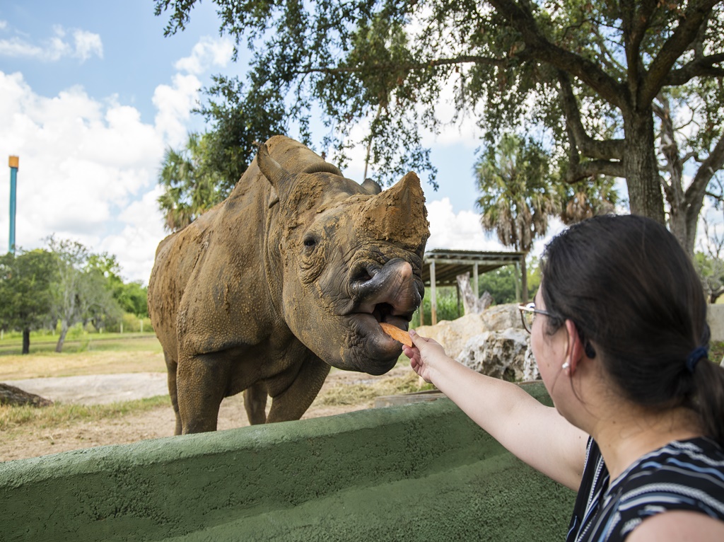 Busch Gardens anuncia novos tours pelos bastidores