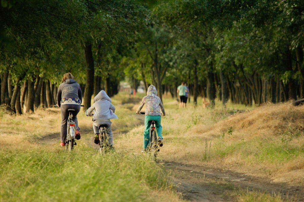 O que fazer nas férias de julho: Costa Verde e Mar é opção em Santa Catarina