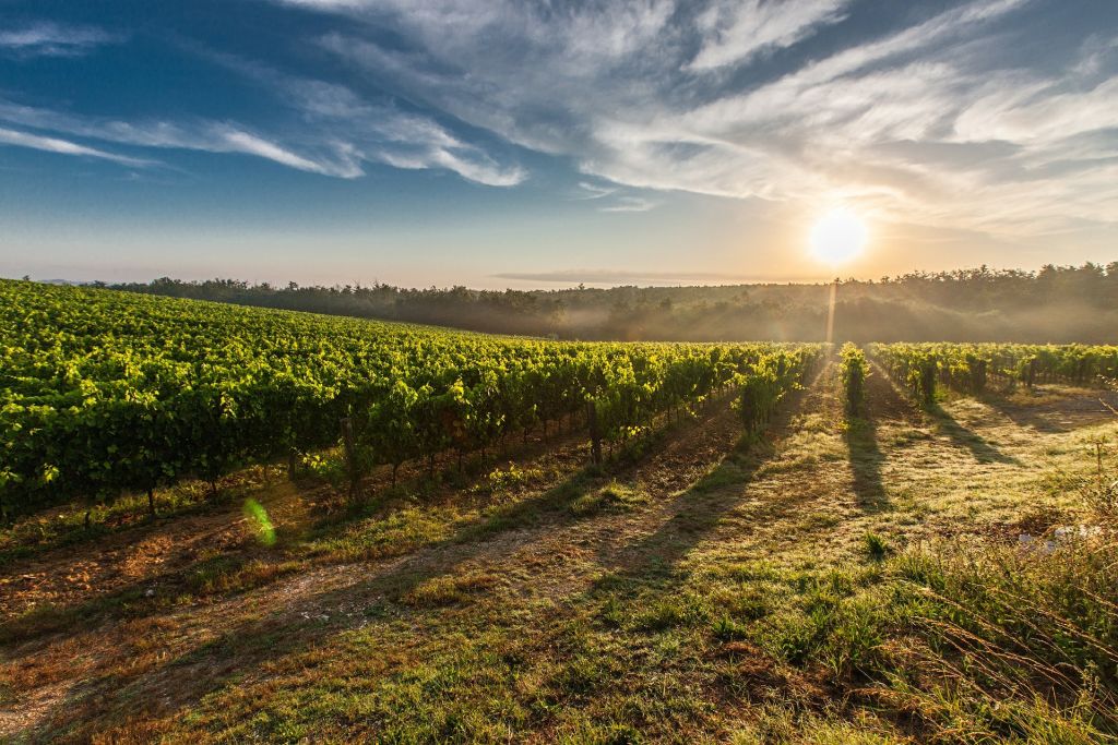 5 destinos para fazer uma imersão no turismo rural no Brasil e no mundo