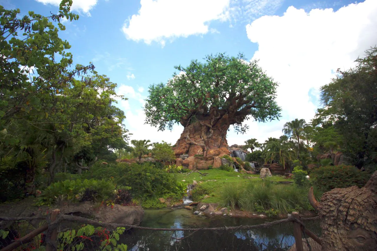 Veja a altura mínima das atrações do Animal Kingdom