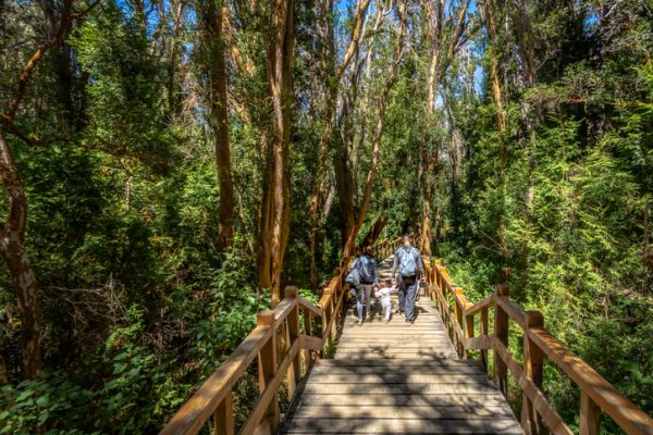 Bariloche conta com várias opções de passeios | Divulgação 