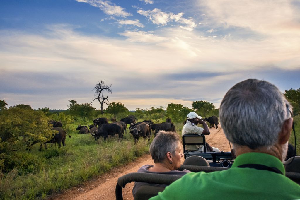 Kruger National, na África do Sul, é um dos parques nacionais que valem a visita