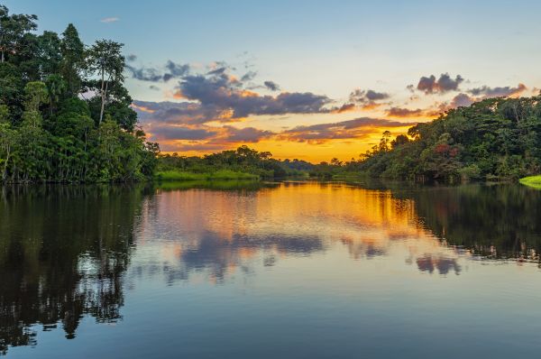 Vista do rio no Pantanal | Divulgação 