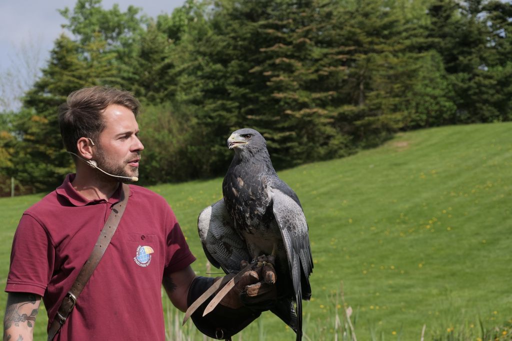 Visitantes do Parque das Aves podem comprar ingressos online