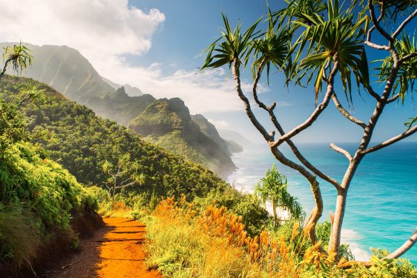 Vista da cidade de Kauai, no Havaí | Divulgação 