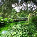 Beleza e tranquilidade: conheça o Jardim de Ninfa, na Itália