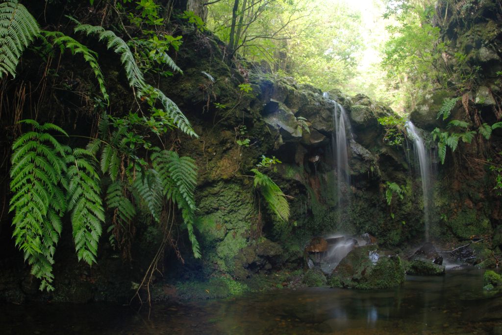 11 curiosidades sobre a Ilha da Madeira