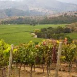 Centro do Chile: como aproveitar o vinho e a natureza