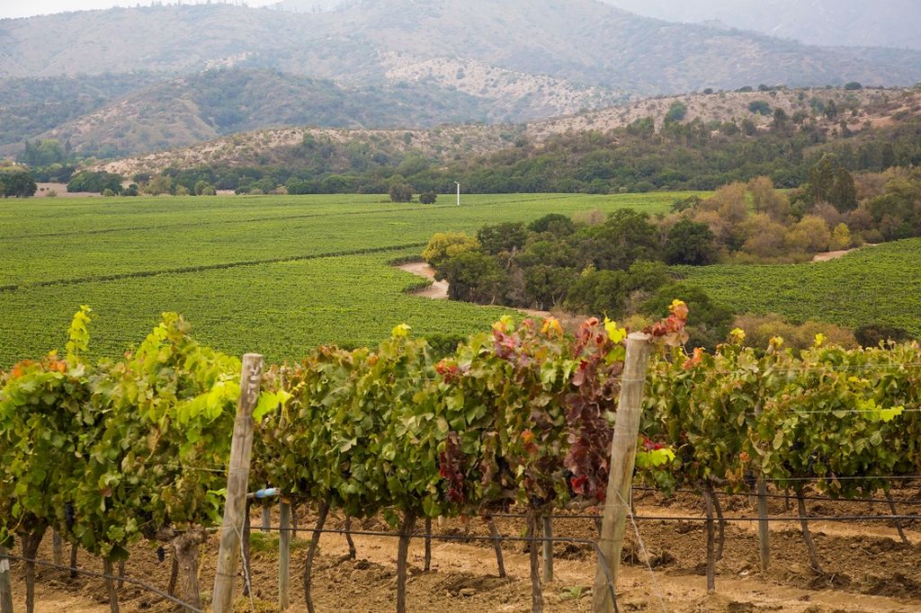 Centro do Chile: como aproveitar o vinho e a natureza