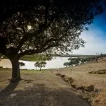 Turismo rural em Portugal: passeios no Alentejo