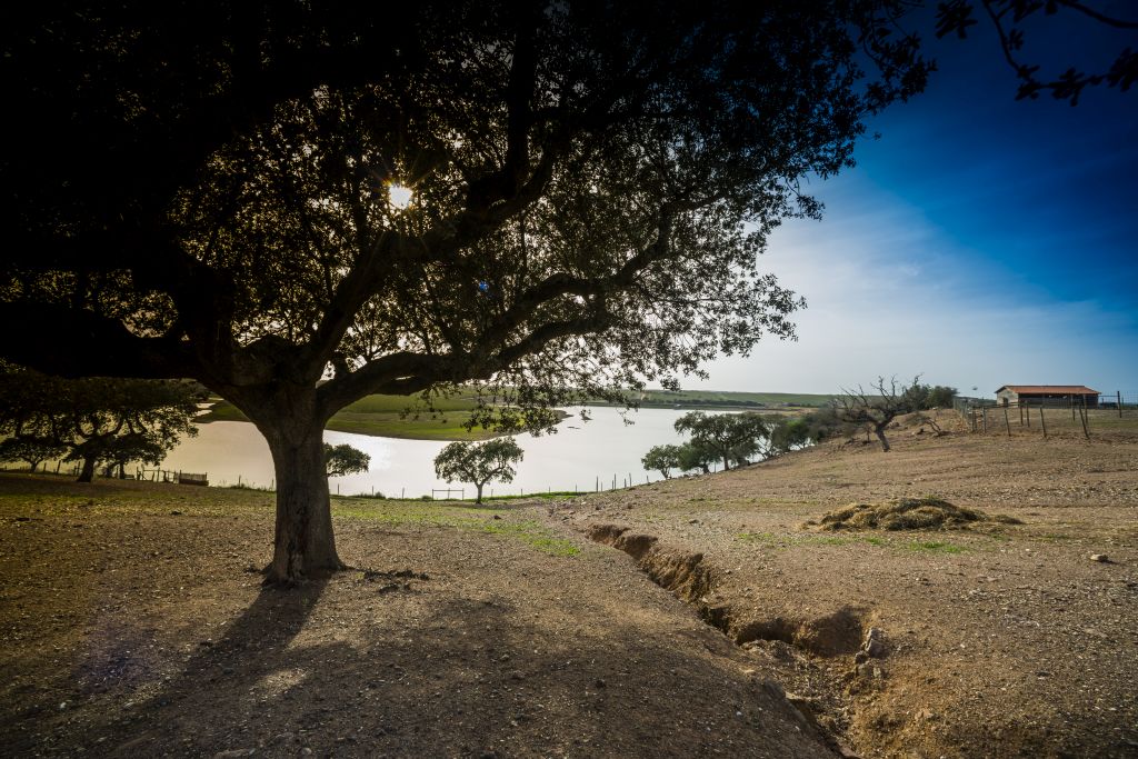 Turismo rural em Portugal: passeios no Alentejo