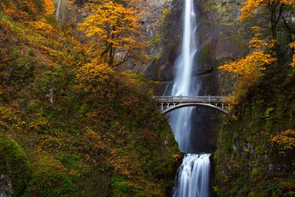 Multnomah Falls é uma boa opção para quem quer vistas de tirar o fôlego | Divulgação 