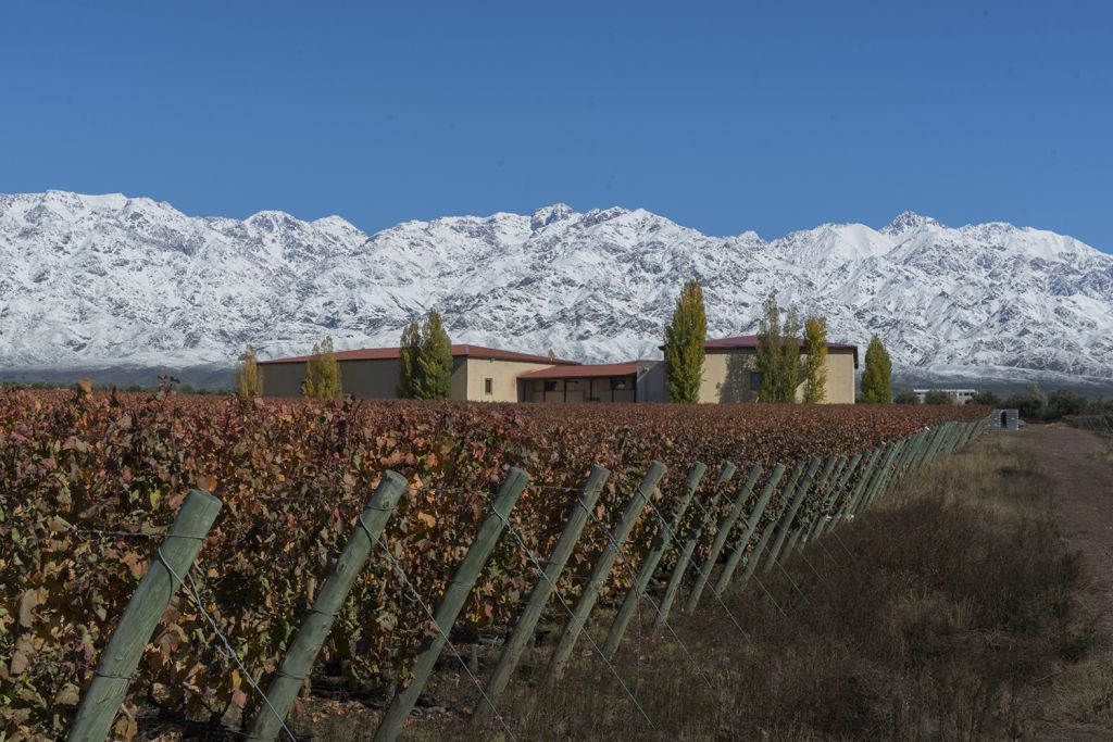 Experiência nos Andes tem degustação de vinhos e charutos