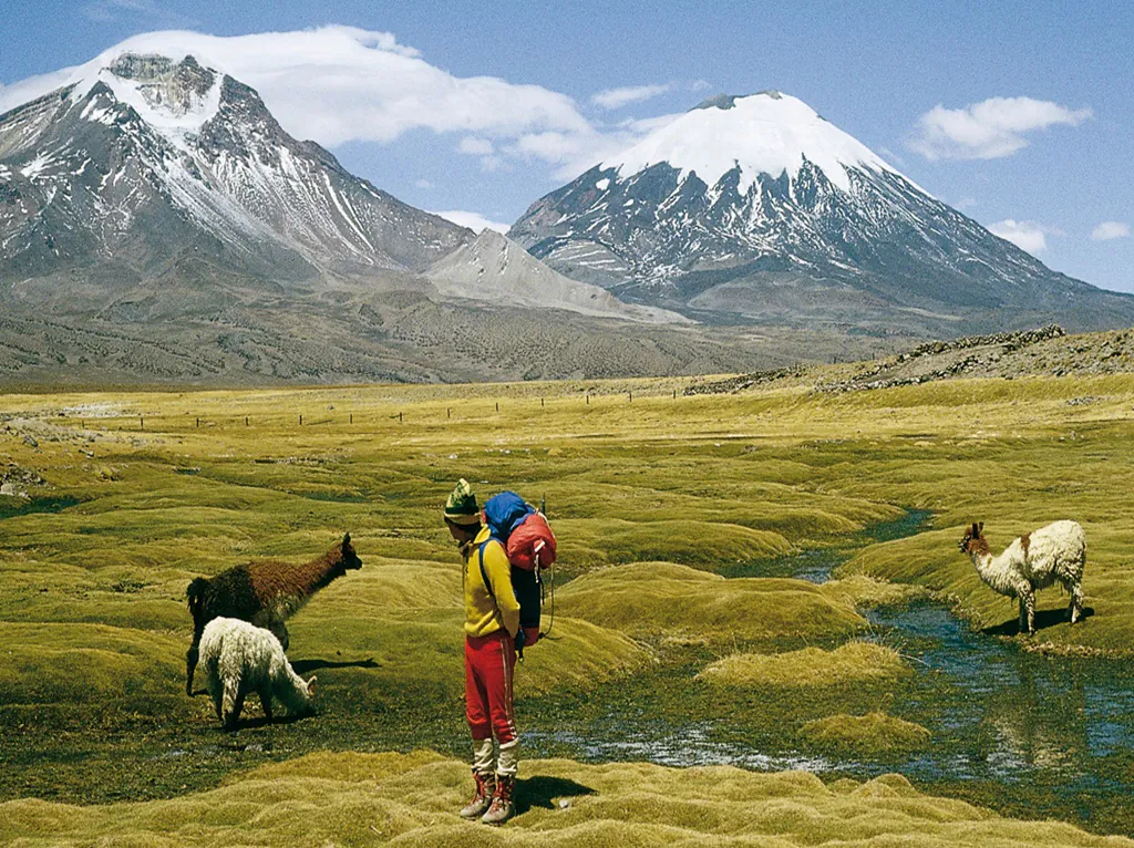 World Travel Awards: Chile é eleito melhor destino verde do mundo