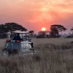 Viagem com crianças: destinos para visitar na África