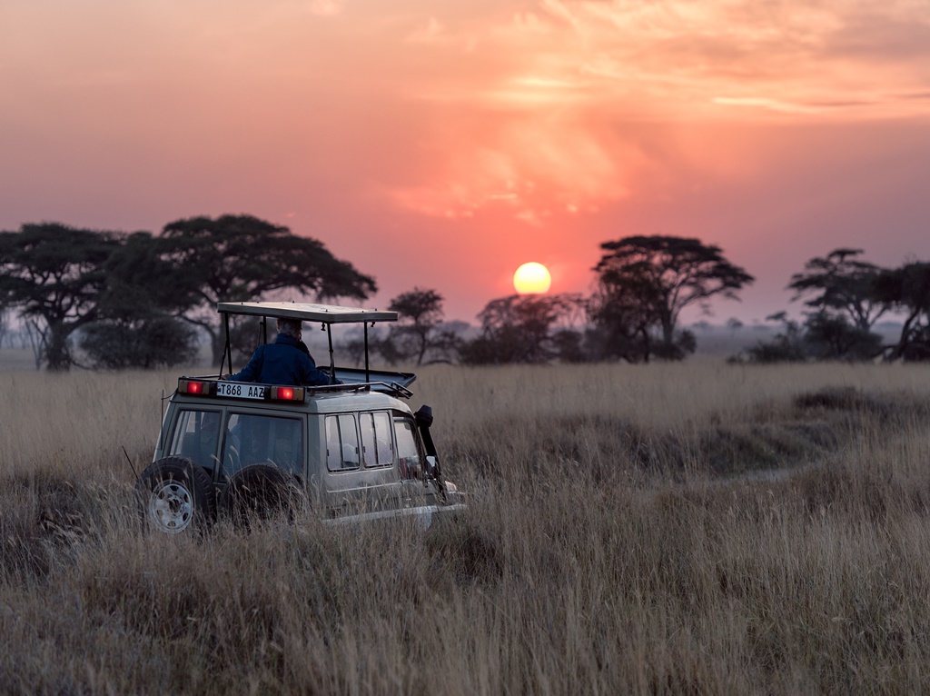 Viagem com crianças: destinos para visitar na África