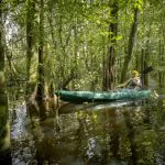 O que fazer na floresta amazônica: 5 experiências que valem a pena