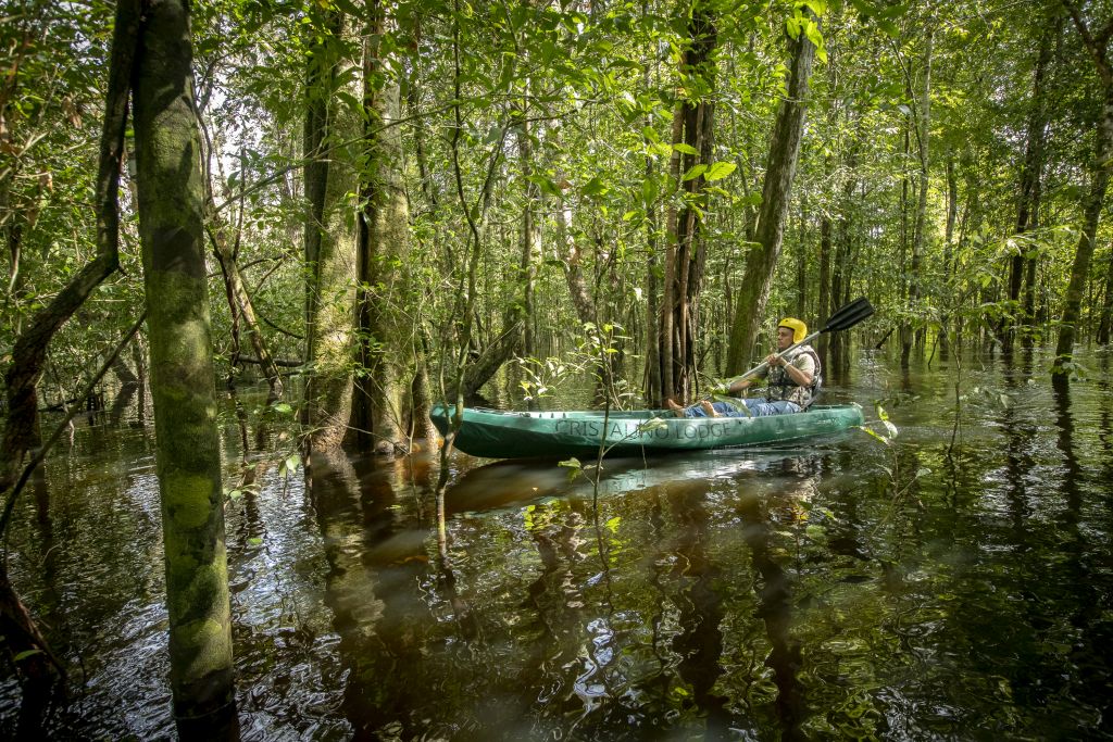 O que fazer na floresta amazônica: 5 experiências que valem a pena